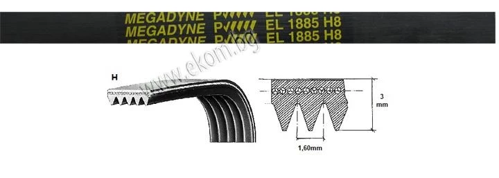 116LG111 Ремък 1885мм H8 EL гумен