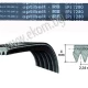 Thumbnail 1 of 116LG100 Ремък 1280мм J5 EL гумен