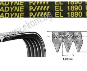 Снимка на 116LG170 Ремък 1890мм H8 EL гумен
