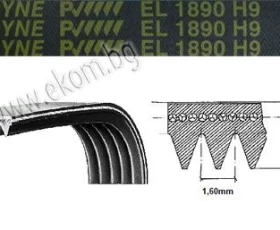 Снимка на 116LG171 Ремък 1890мм H9 EL гумен