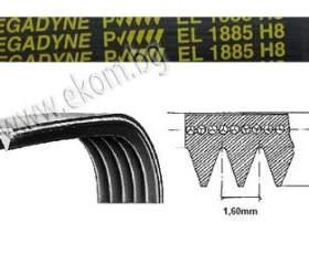 Снимка на 116LG111 Ремък 1885мм H8 EL гумен